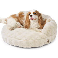 Cama para gatos EHEYCIGA crema, descanso suave y cómodo.