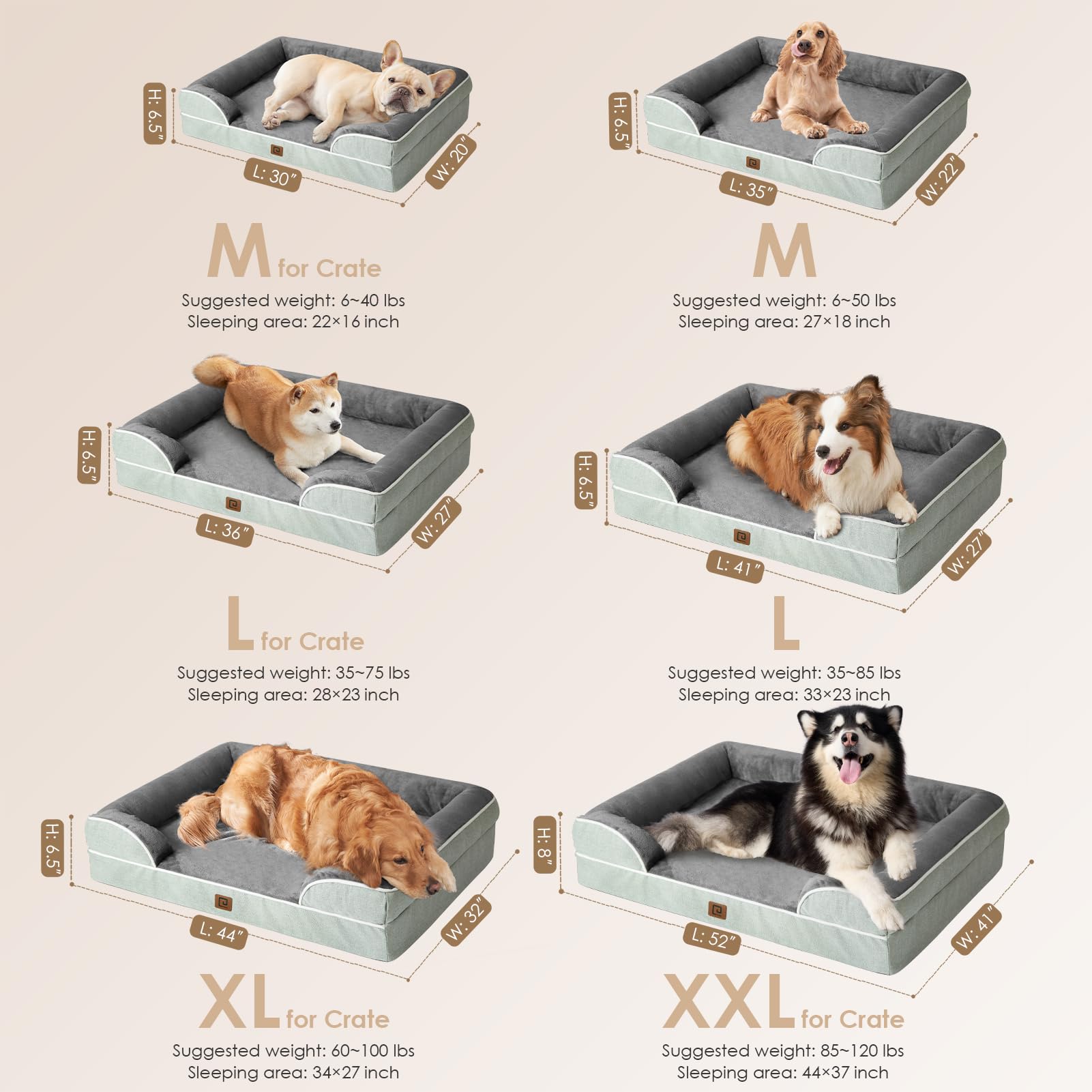 La cama está disponible en tallas mediana, grande y extra grande.