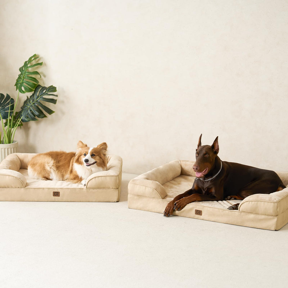 Varias tallas disponibles para perros medianos, grandes y extragrandes.