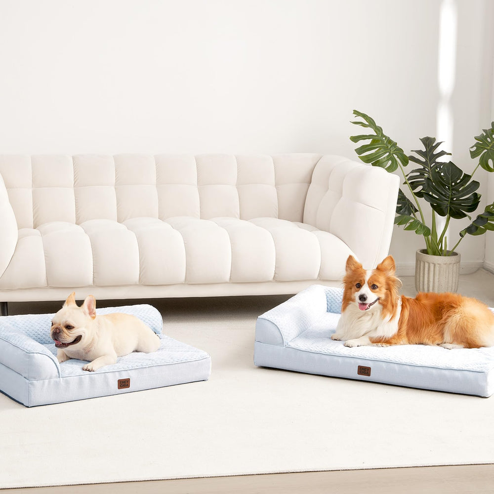 Dimensiones 36x27x6, ideal para perros de porte grande.