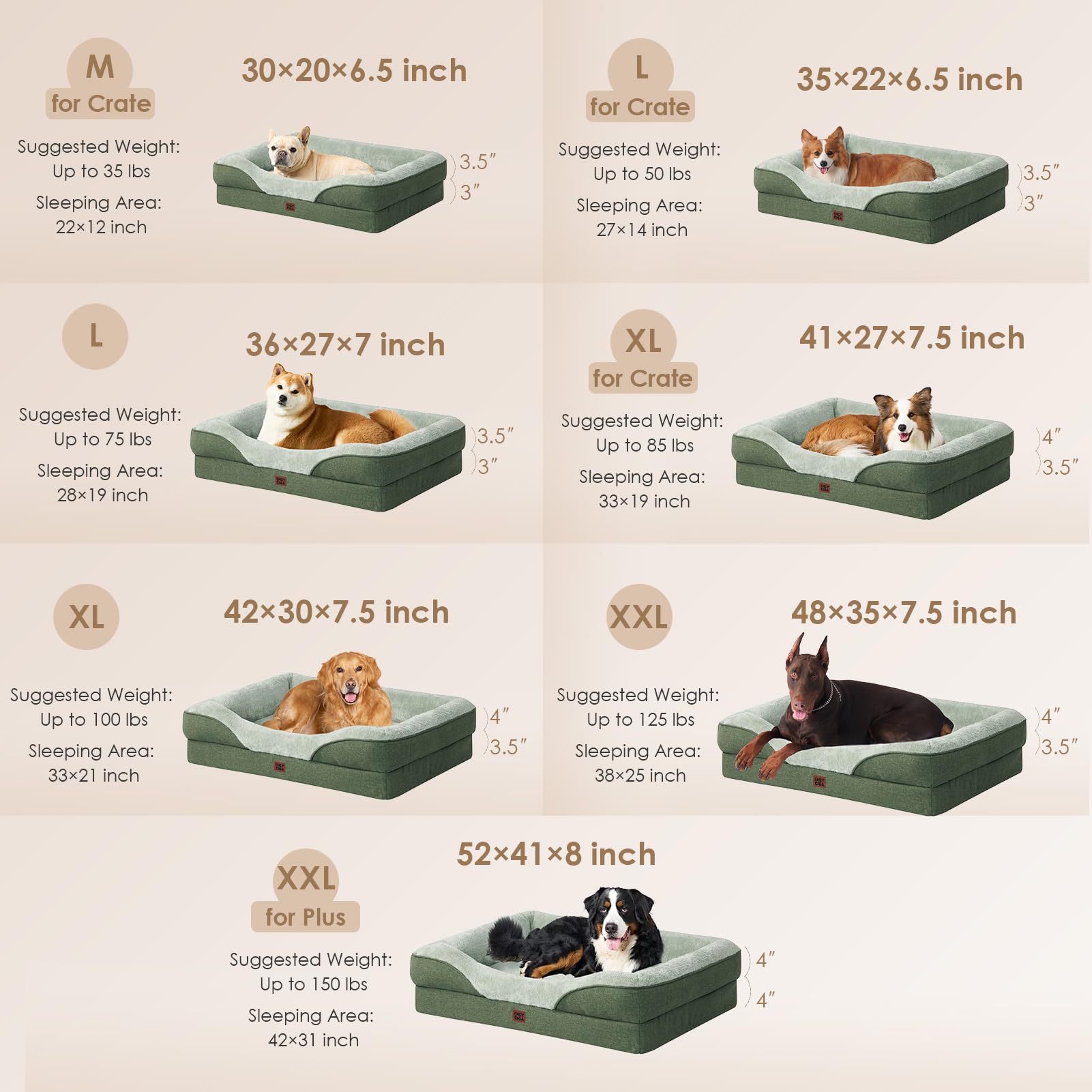 Cama EHEYCIGA disponible en dimensiones variadas para tallas grandes.