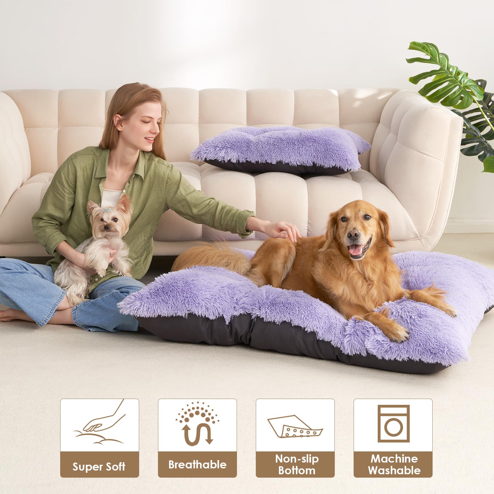 EHEYCIGA cama-perro-diseño-calma favorece sensación de seguridad al descansar.