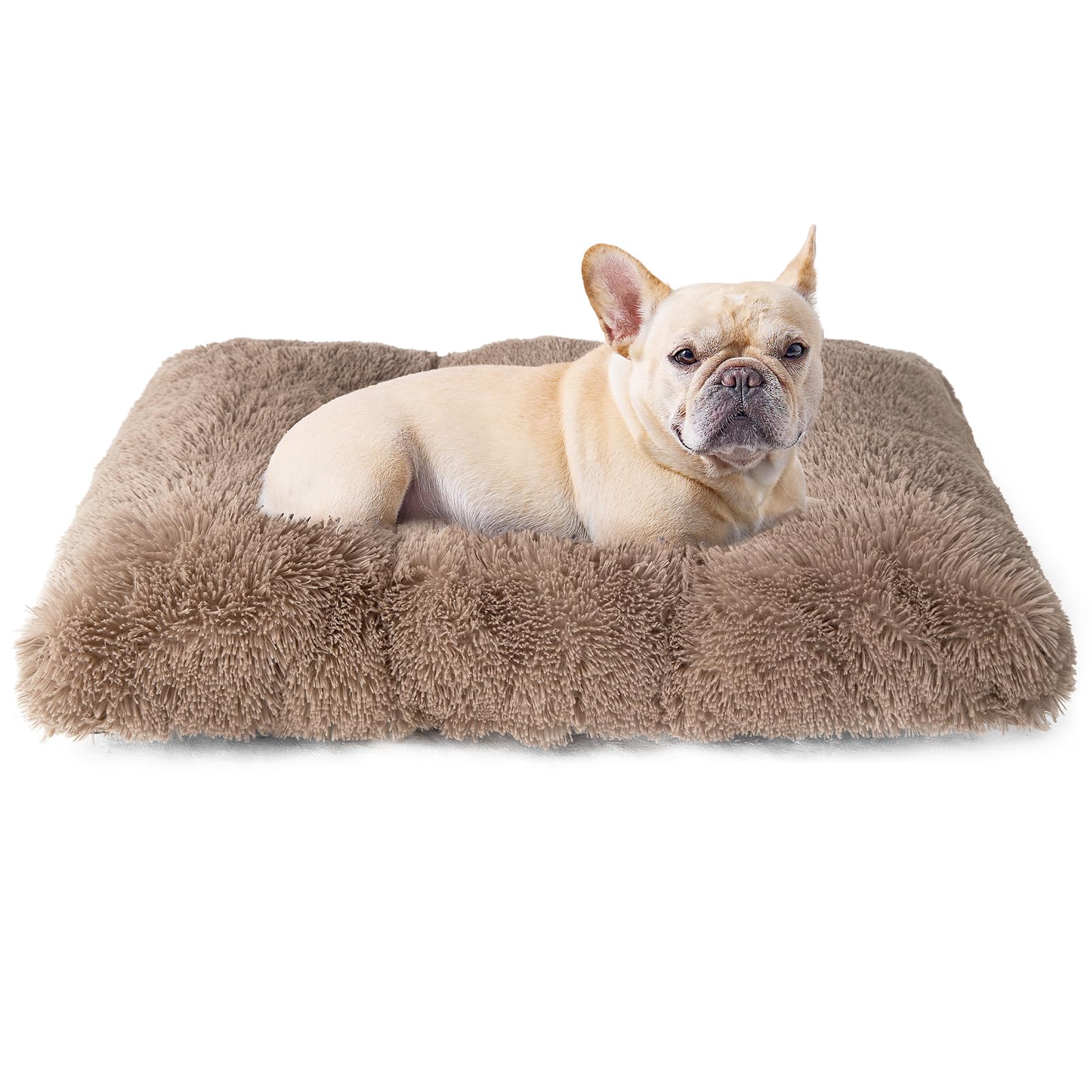 Cama EHEYCIGA para jaula, superficie nube peluda y confort suave.