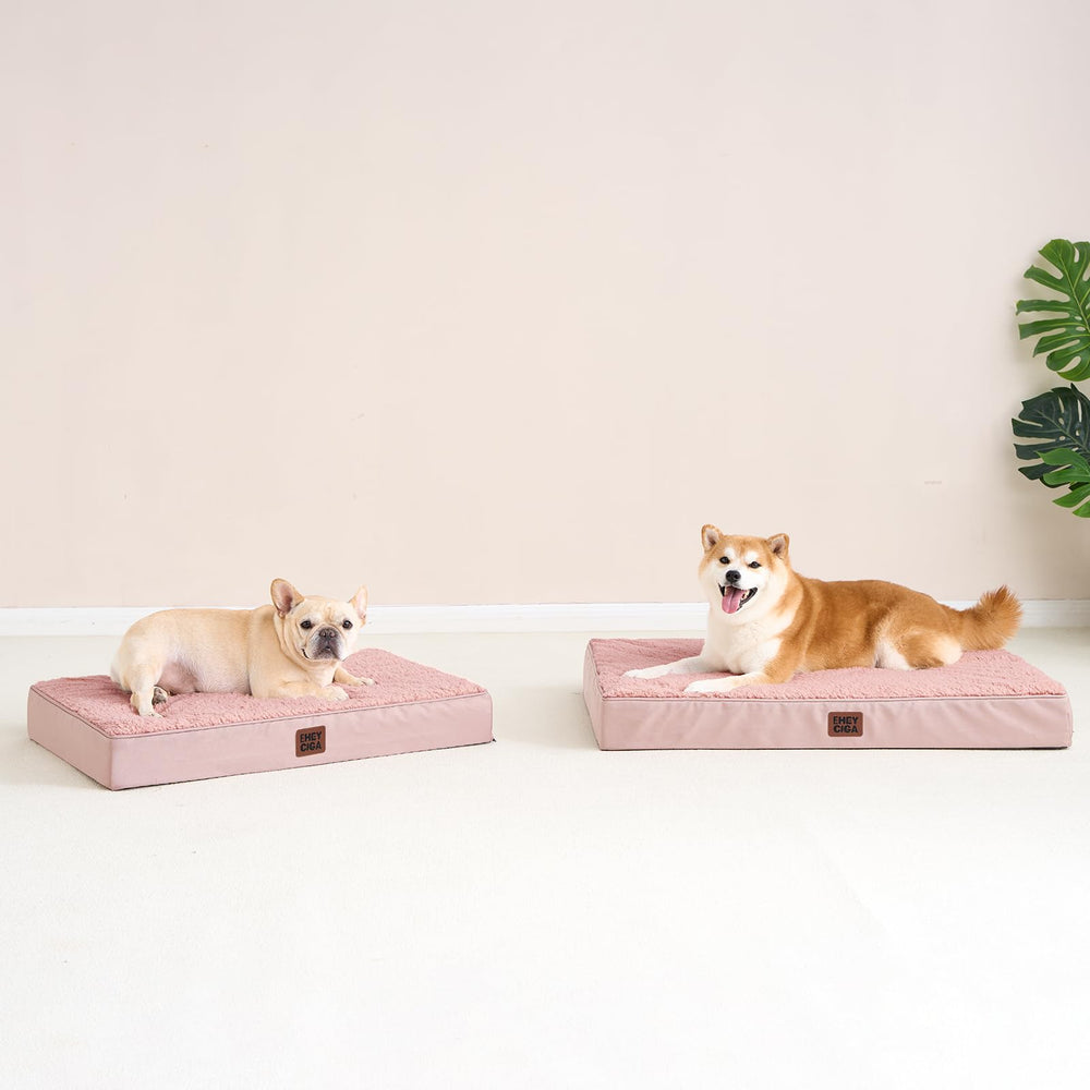 Uso versátil: ideal en jaula, suelo o cama para mascotas.