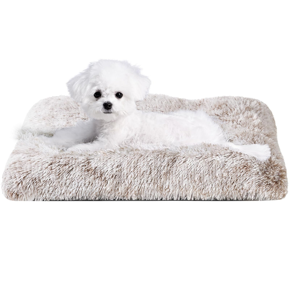 Cama EHEYCIGA para perro pequeño con felpa suave, confort inmediato.
