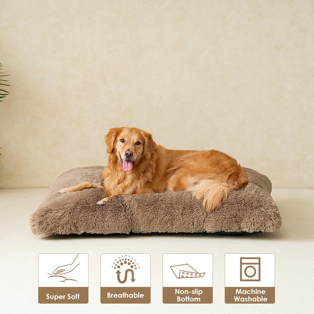 Ideal para uso dentro de casa y en automóvil con EHEYCIGA.