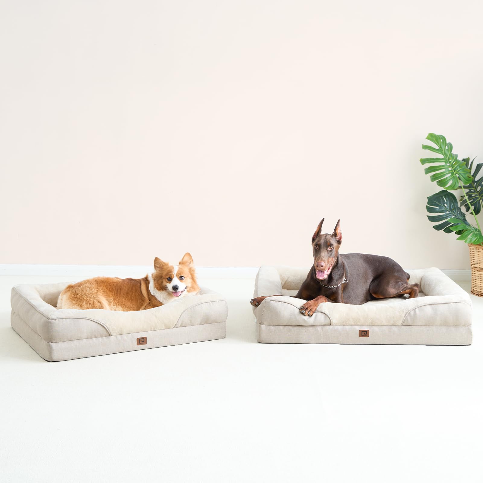 Cama EHEYCIGA XL cubierta desmontable y lavable
