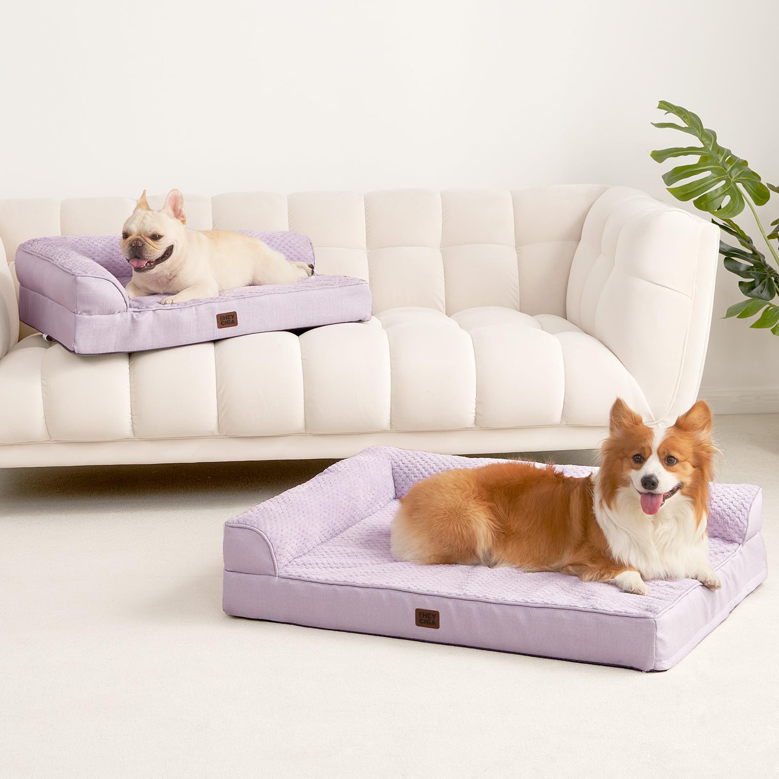 Dimensiones 48x35x7,5 cm, cama XXL para perros grandes.