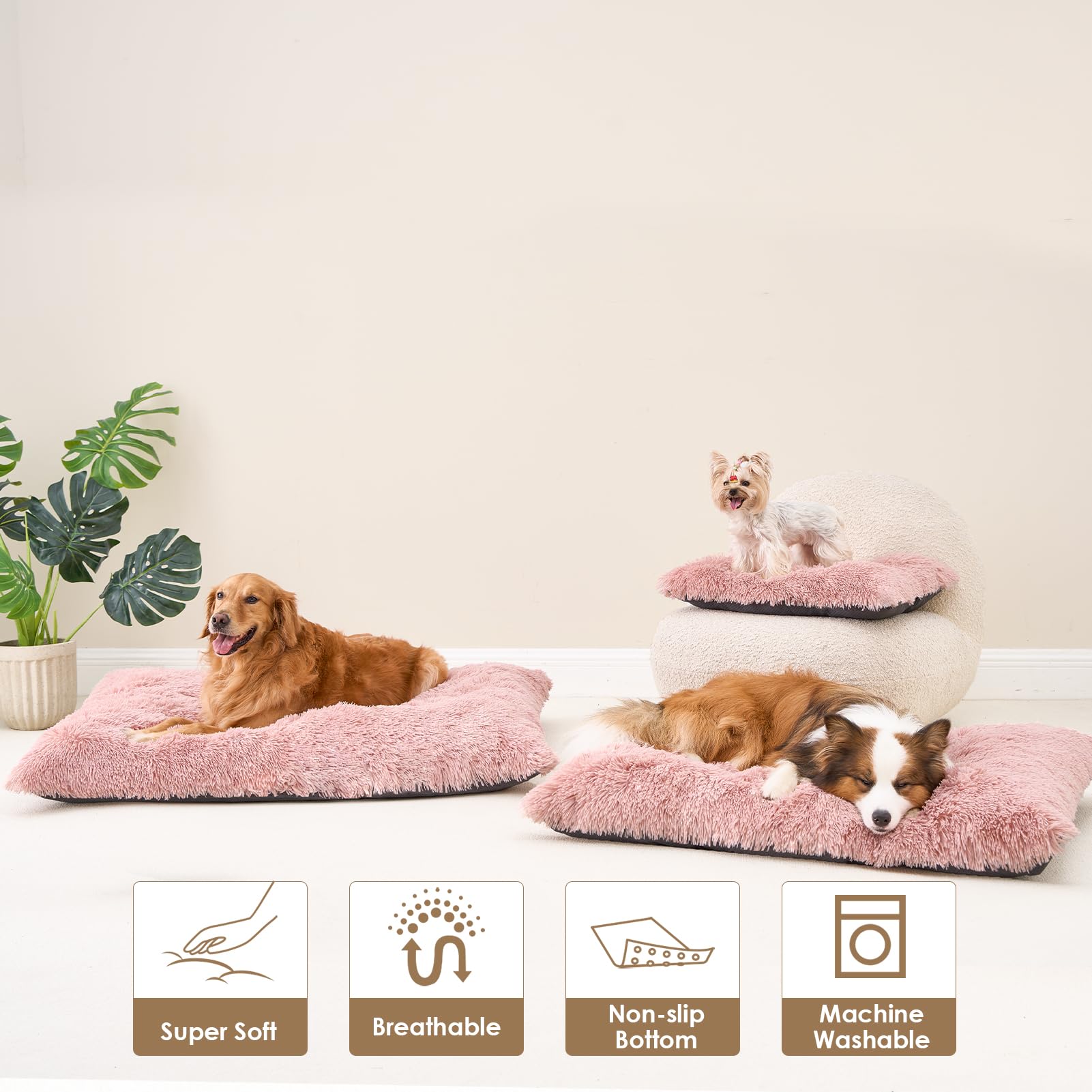 La cama EHEYCIGA XL se expande tras desempaque para confort inmediato.