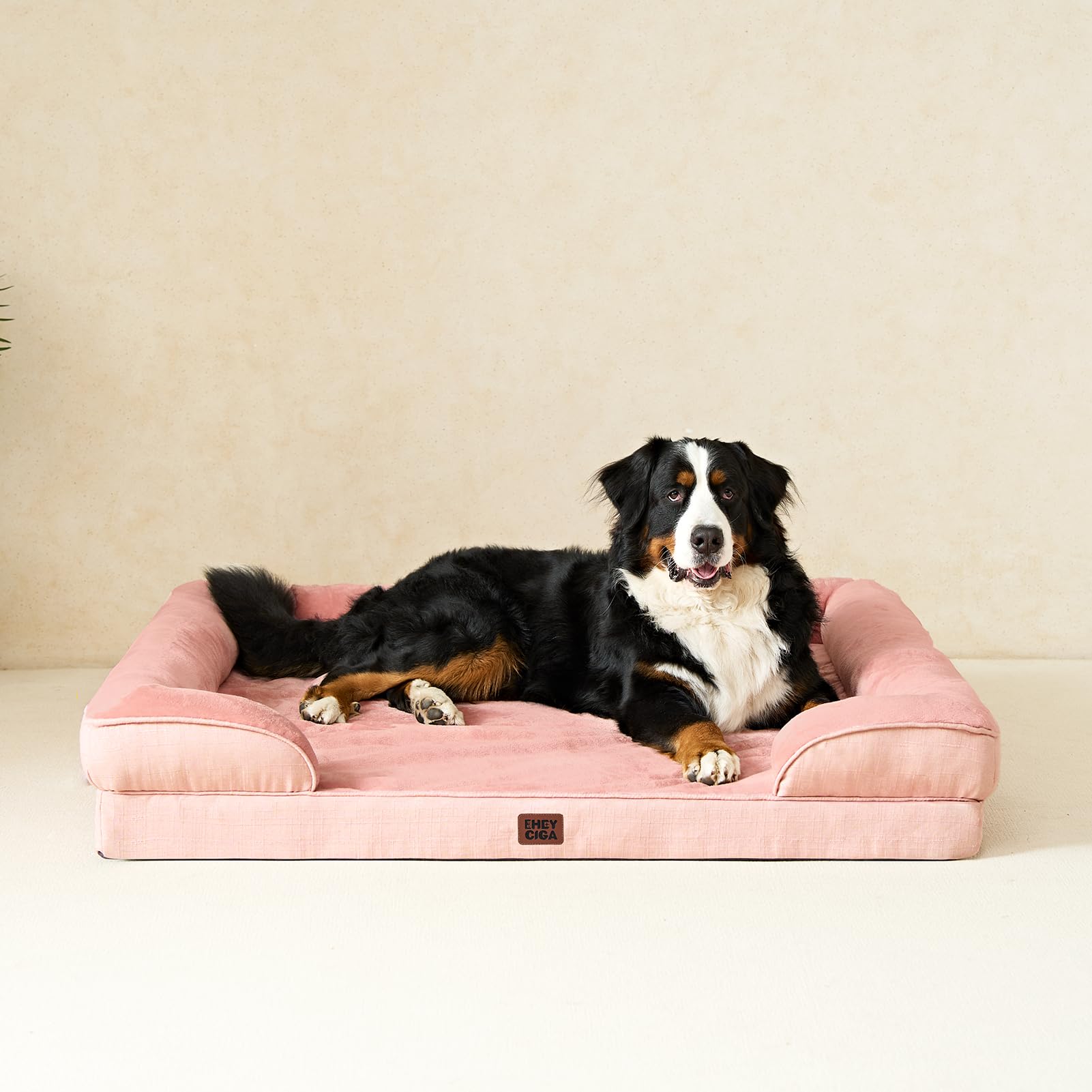 Disponible en tallas extra grandes para perros de gran tamaño.