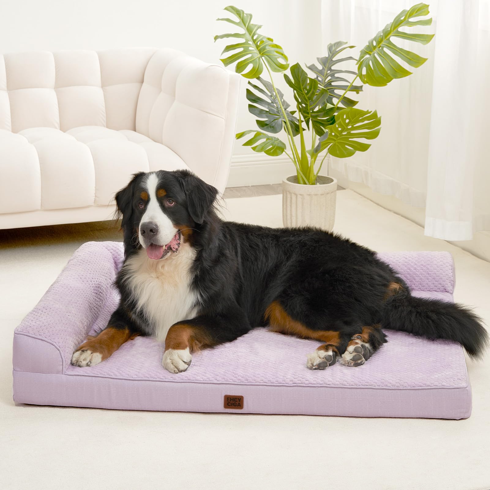 Uso diario cómodo para perros grandes con la cama EHEYCIGA XXL.