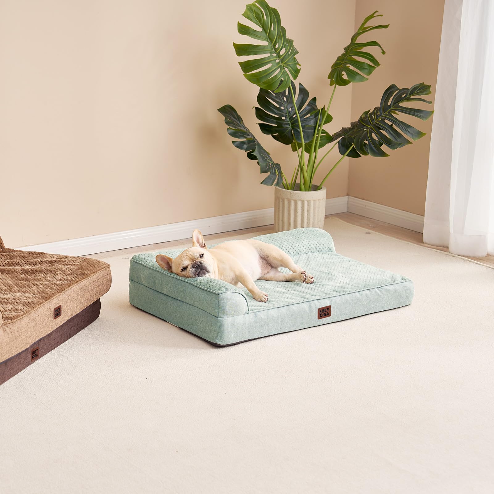 Dimensiones 30x20x6 pulgadas de la cama EHEYCIGA para perros medianos