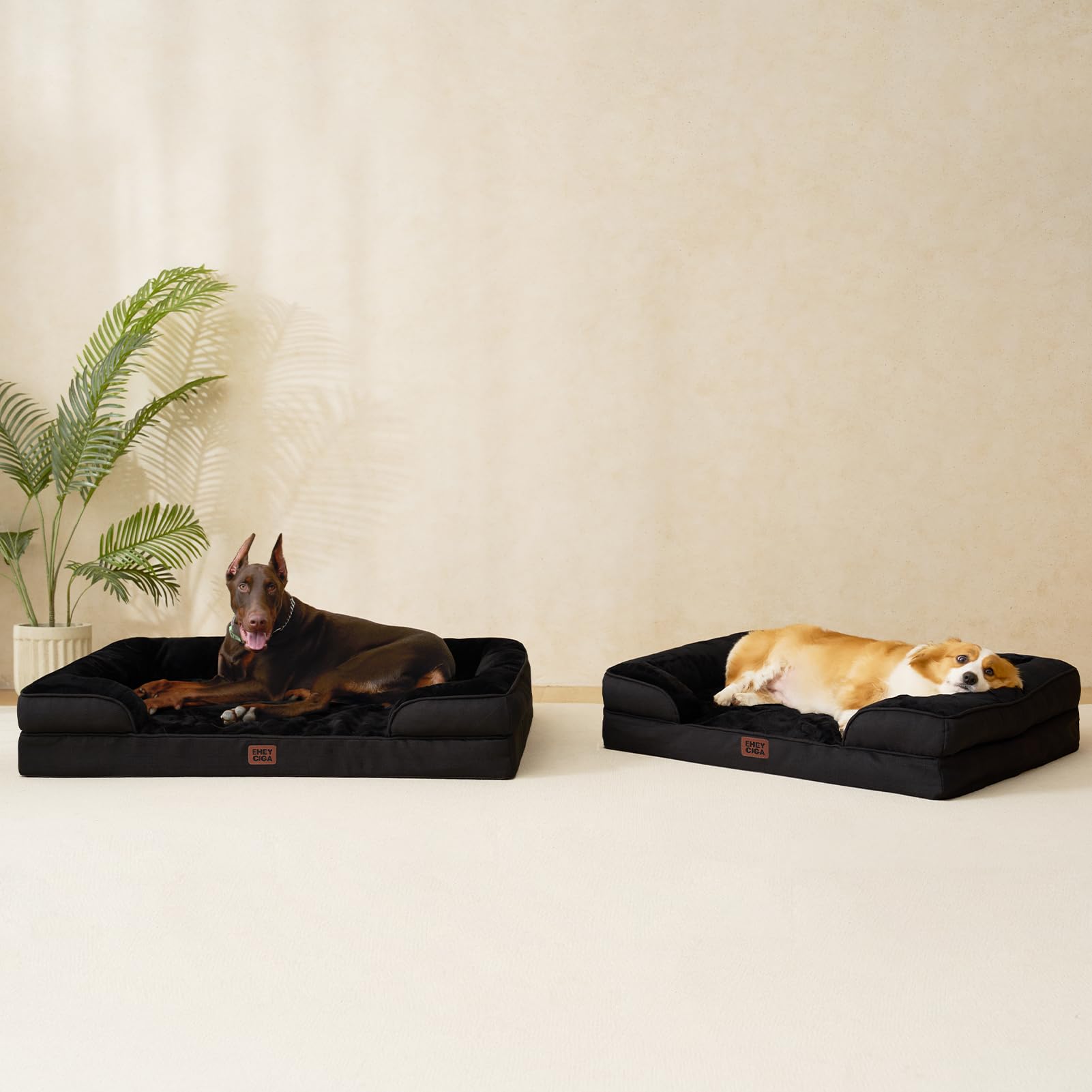 Ideal para uso diario en casa para perros mayores.