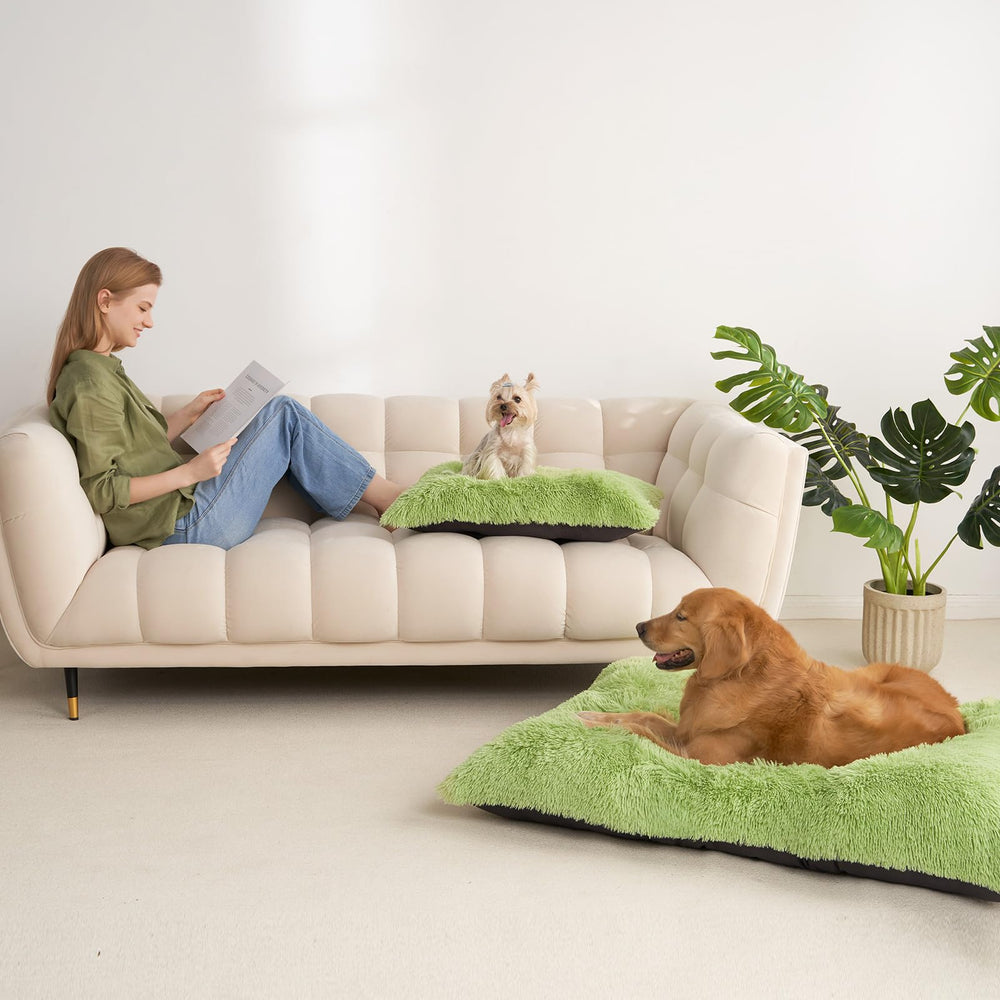 Cama verde de EHEYCIGA, adecuada para un descanso prolongado y tranquilo.