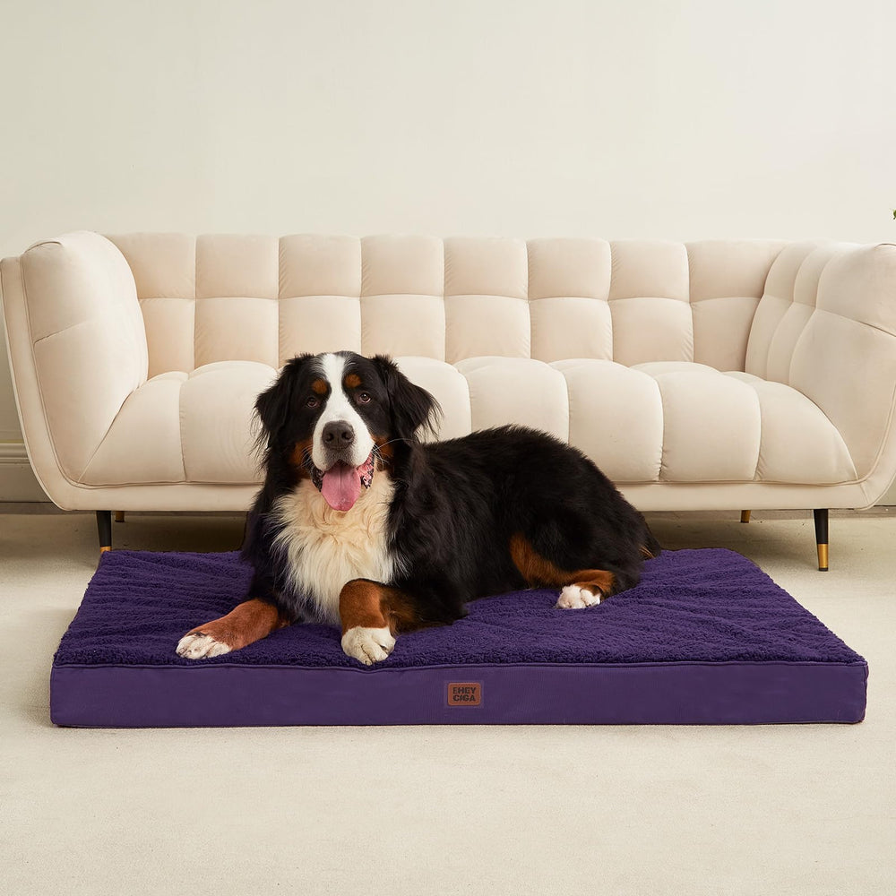Color-purpura de EHEYCIGA añade estilo y confort para tu mascota