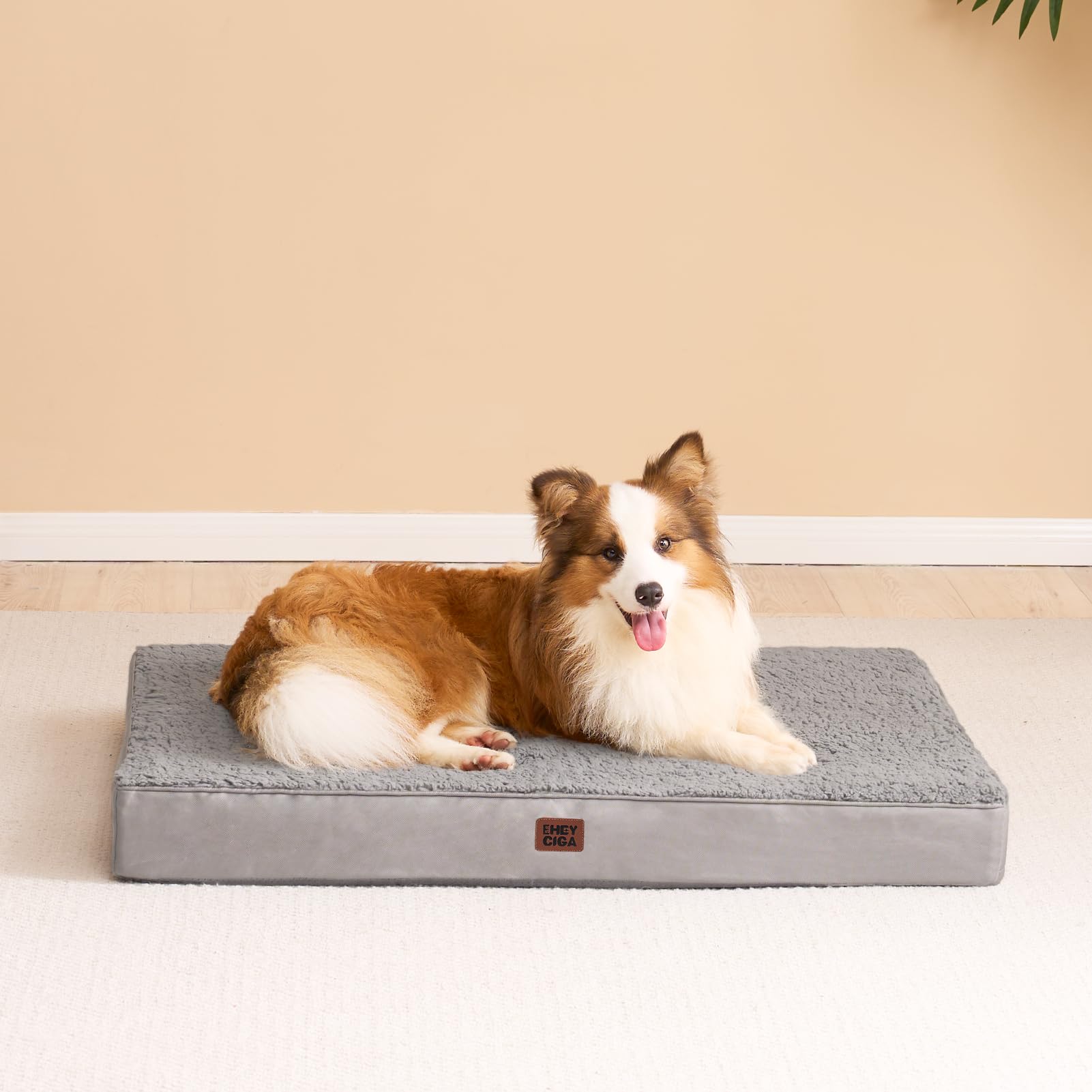 Descanso cómodo para perros XL en casa