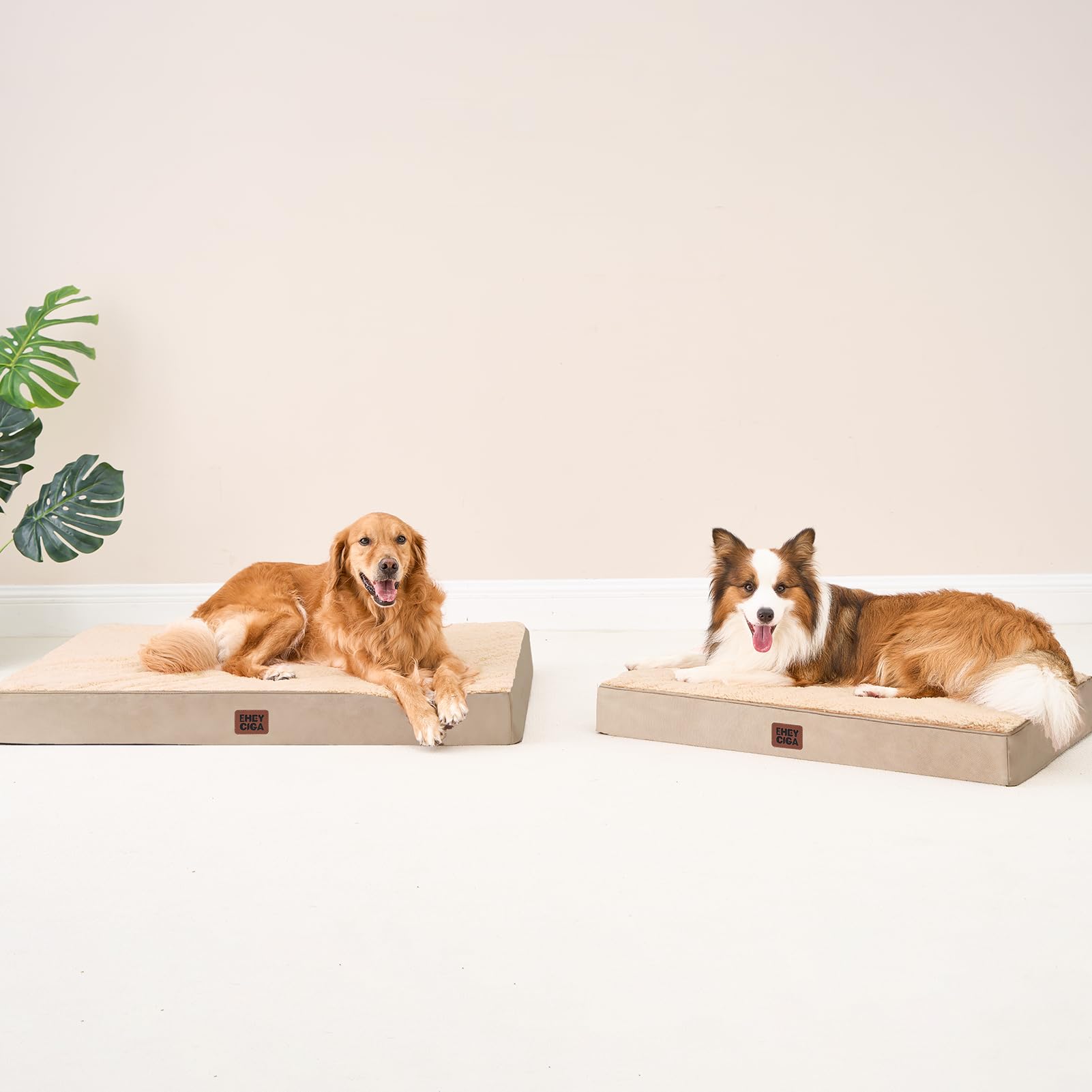 Dimensiones 47x29 para perros extra grandes con espacio amplio.