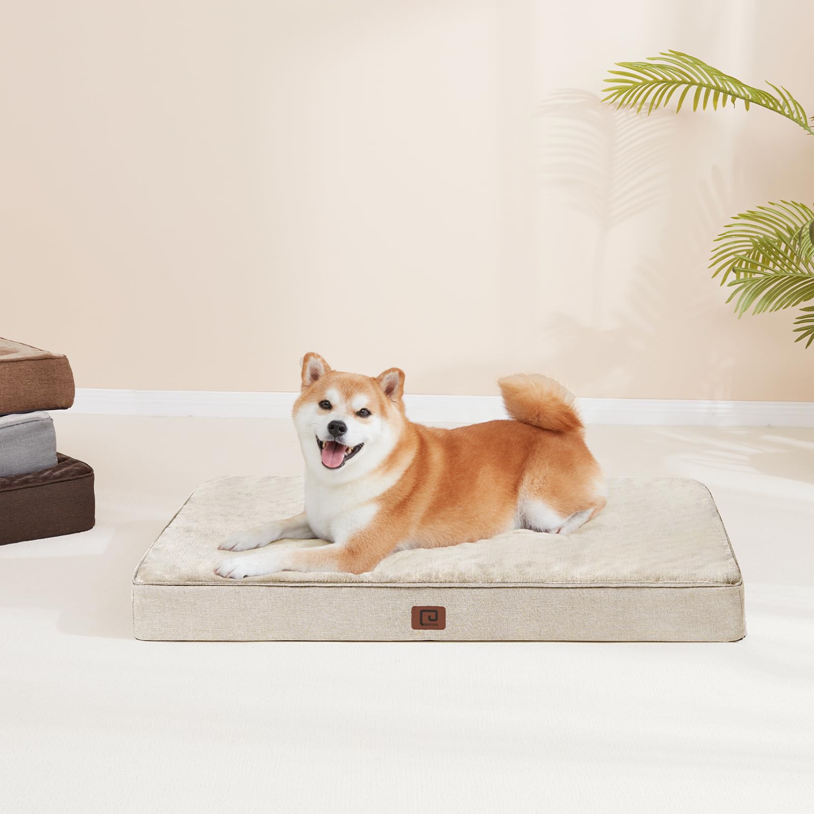 Tamaño mediano ideal para perros de talla media con EHEYCIGA.