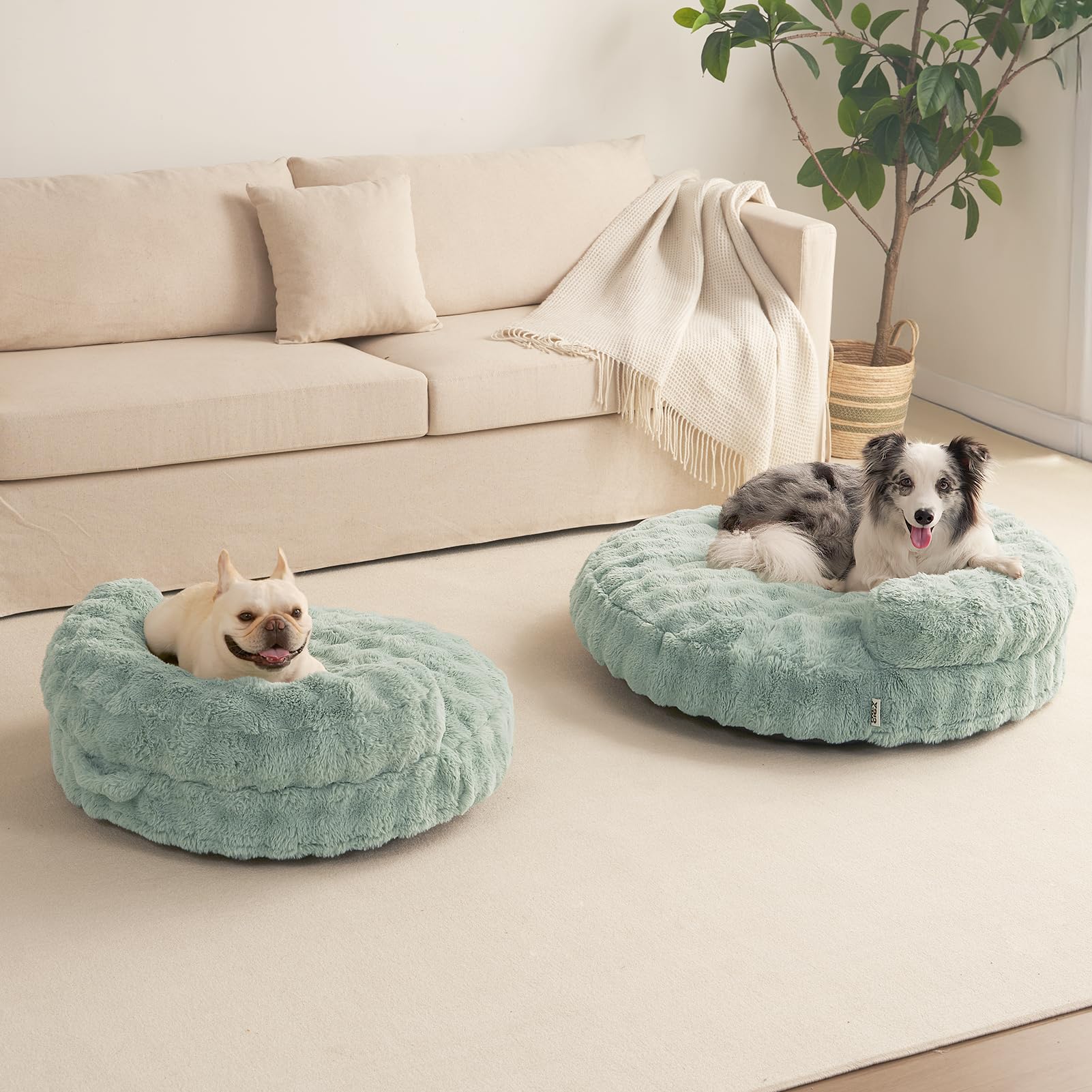 EHEYCIGA diseño-compacto-verde: mejora el rincón de descanso de tu mascota.