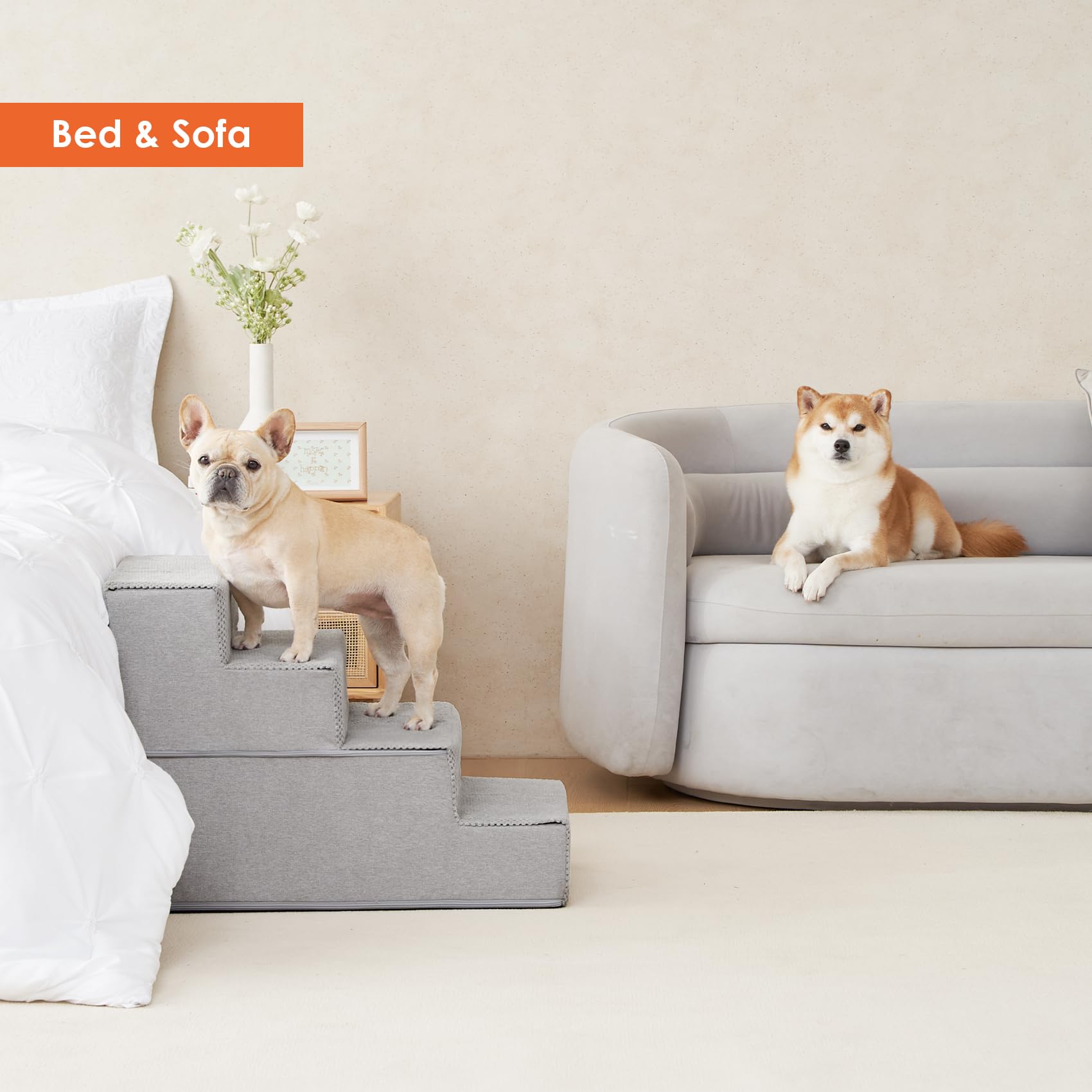 EHEYCIGA, ideal para perros pequeños y gatos en casa.