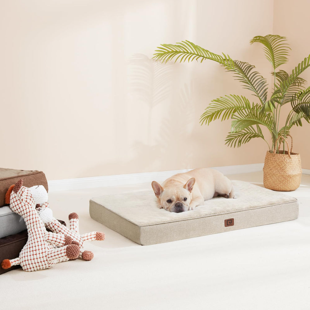 Diseño beige elegante de cama EHEYCIGA para el hogar.