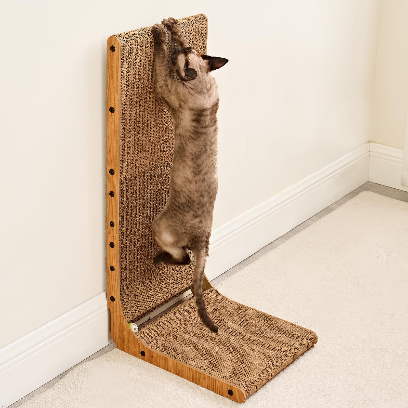 Diseño extra grande de EHEYCIGA para gatos grandes.
