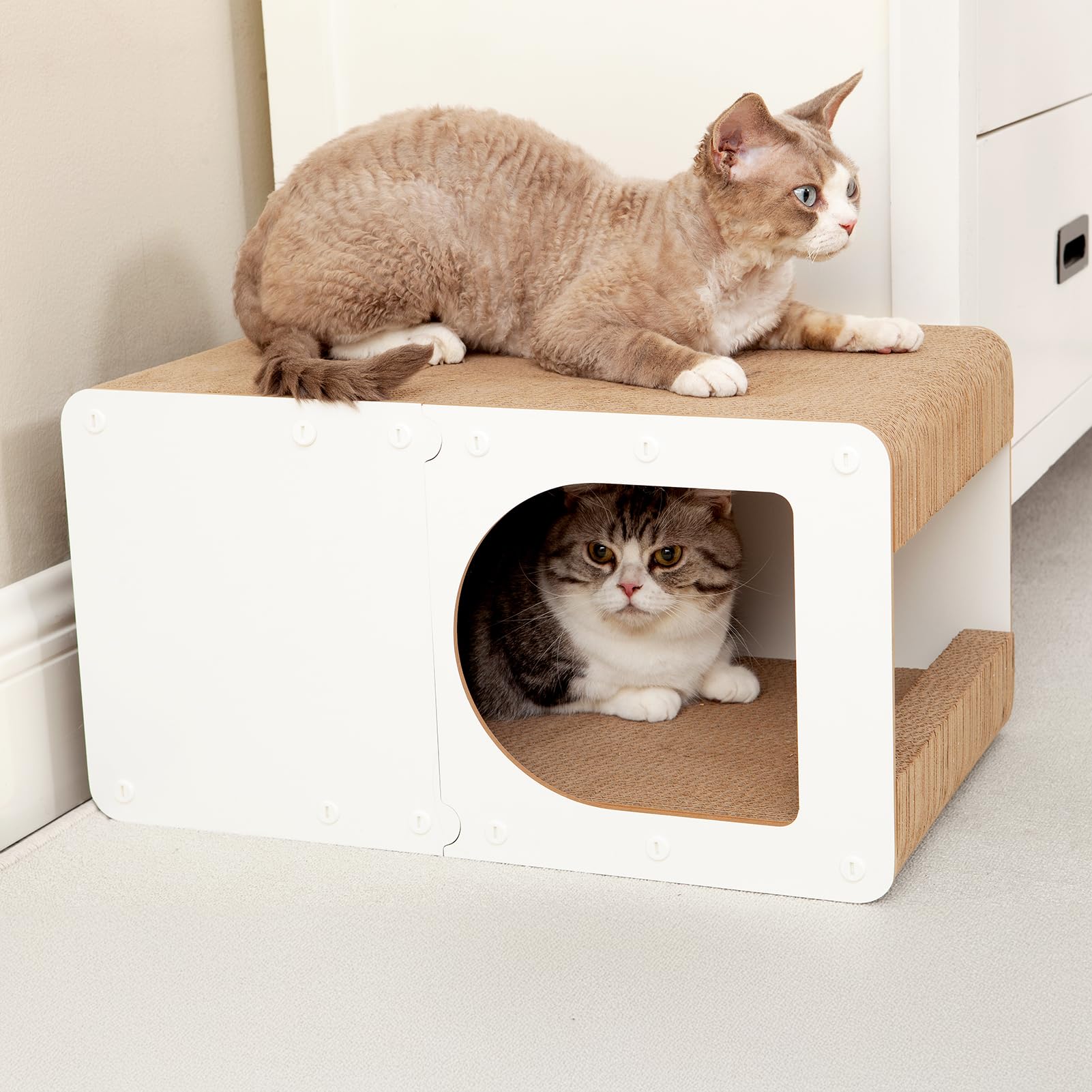 EHEYCIGA idea de regalo para gato, espacio lúdico en el hogar.