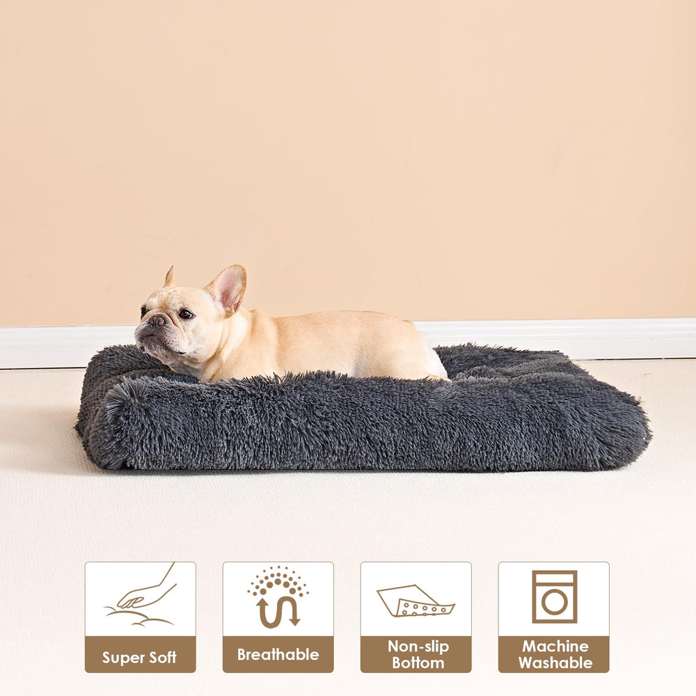 Tallas variadas de EHEYCIGA para perros pequeños.