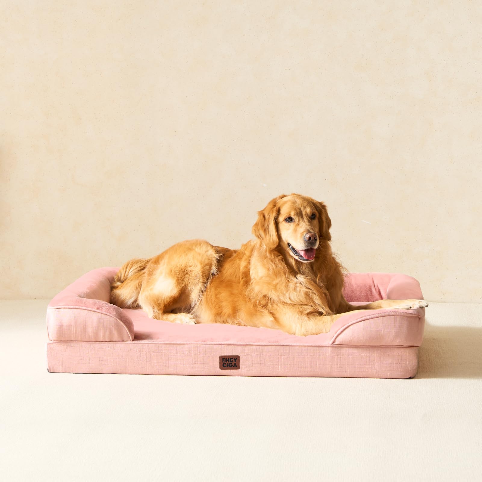 Tallas XL disponibles para perros extra grandes.