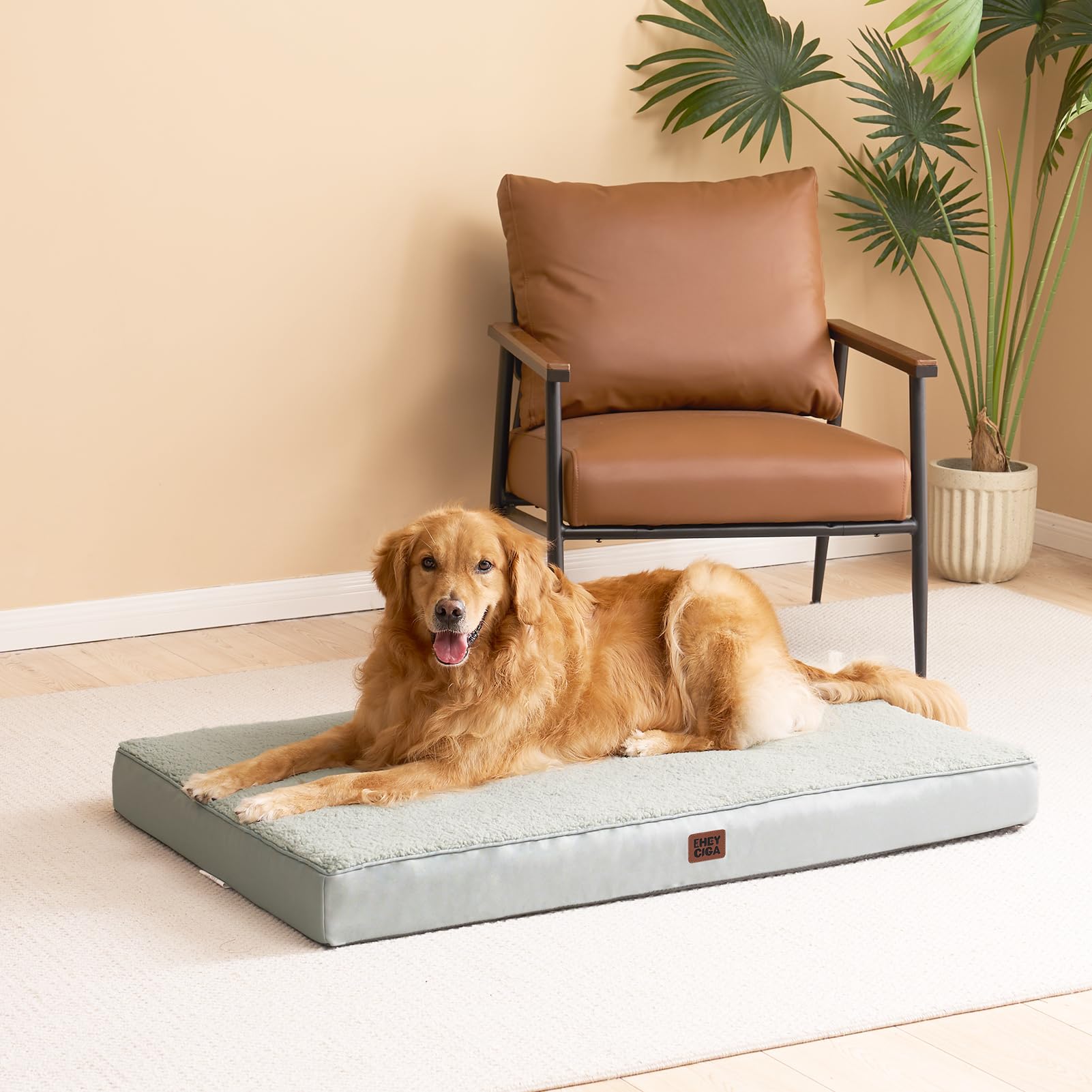 Cama para perro 50x36 de EHEYCIGA.