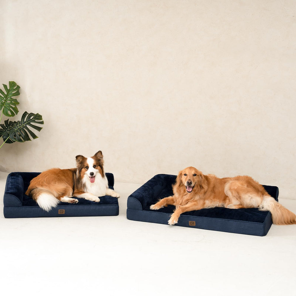 EHEYCIGA tamaño XL es ideal para perros grandes.