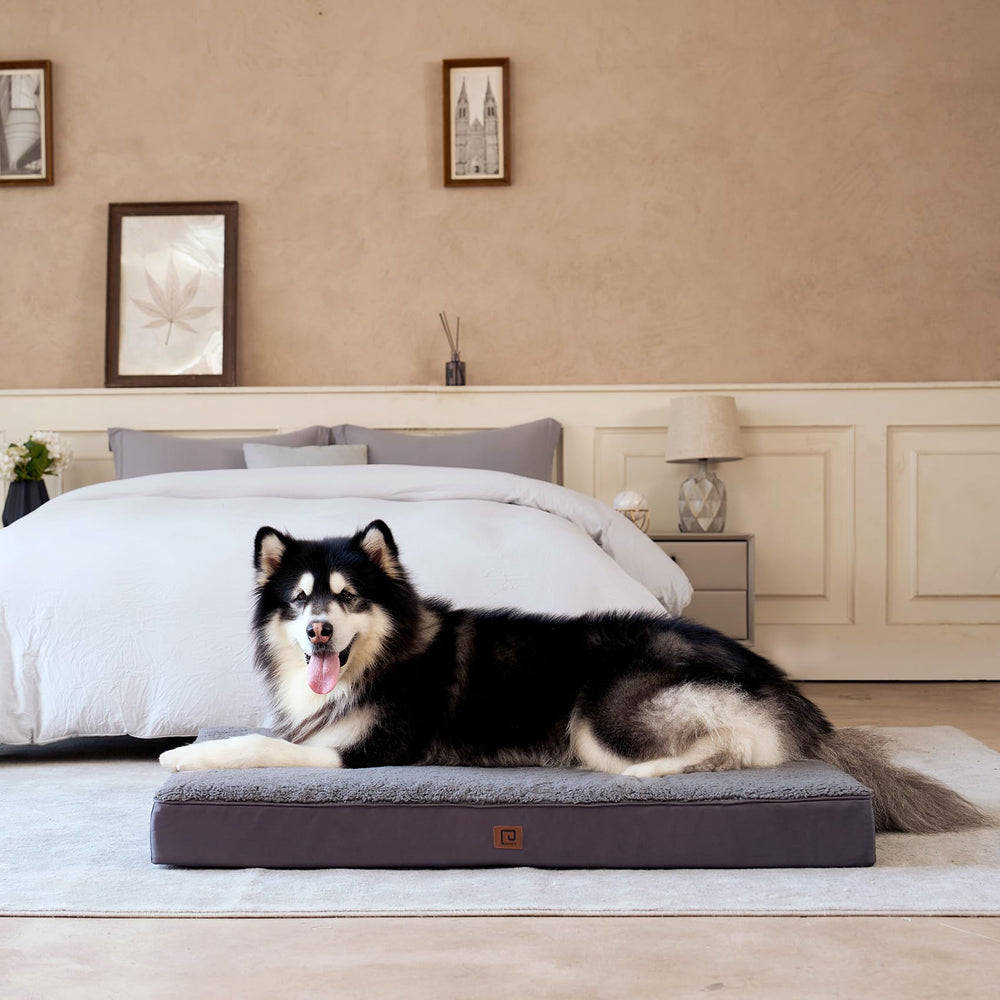 La Cama EHEYCIGA es ideal para uso diario en casa o jaula.