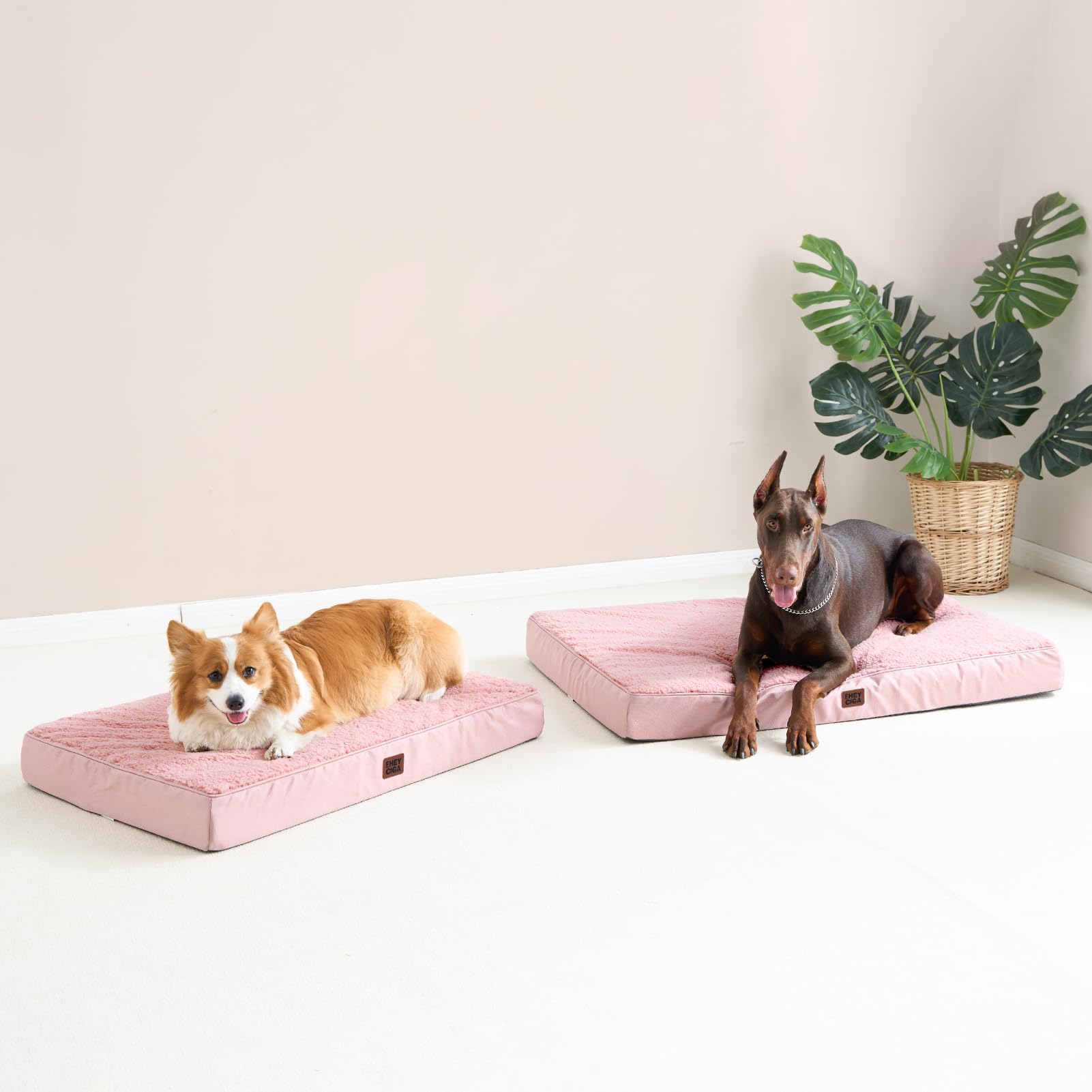 Uso recomendado en jaula o transportín con la cama EHEYCIGA XL rosa.