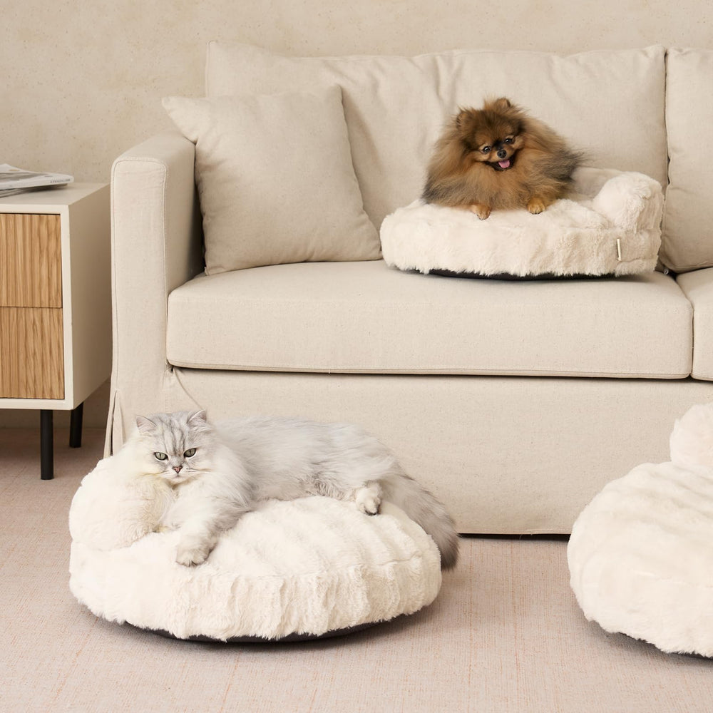 Uso en interiores para gatos y perros pequeños con estilo crema EHEYCIGA.