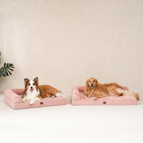 Dimensiones 41x27x6.5 cm, ideal para perros grandes
