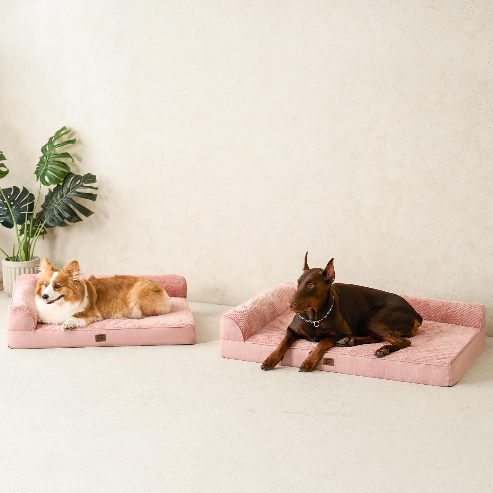 Uso diario en casa para mascotas que buscan confort