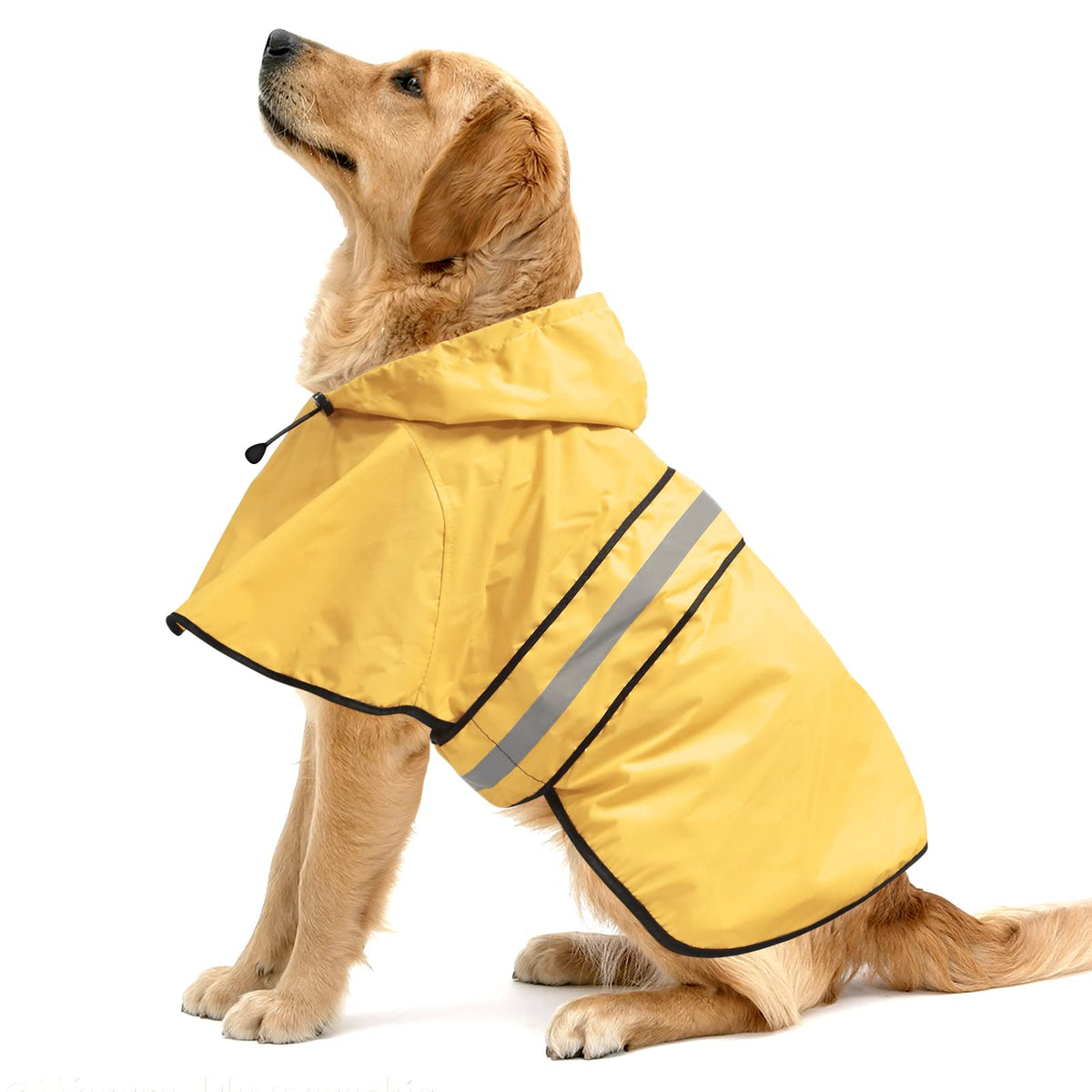 Ezierfy impermeable para perros, frontal amarillo, ligero y cómodo para paseos bajo lluvia