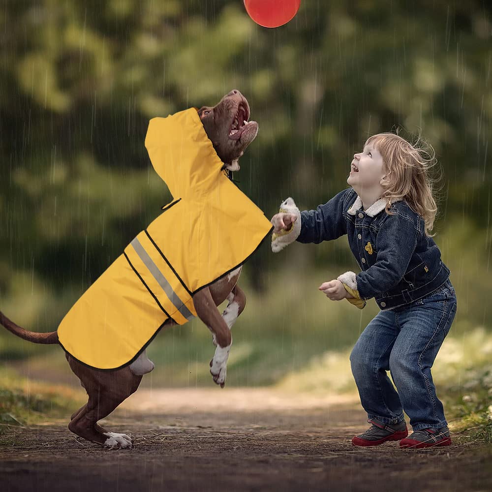 Ezierfy uso exterior para perros, ideal para paseos nocturnos