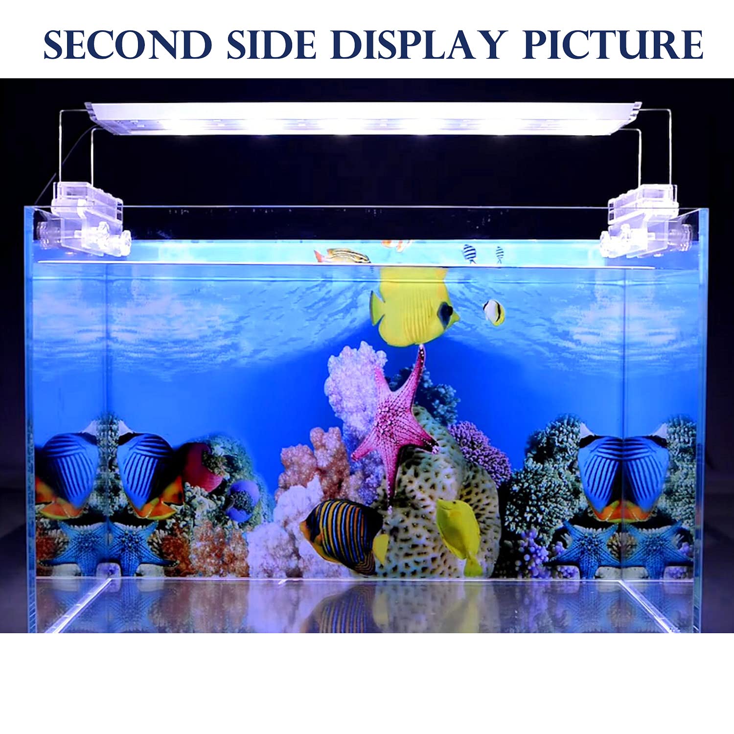 ELEBOX decoración acuario oculta tuberías y filtros sin restar estilo.