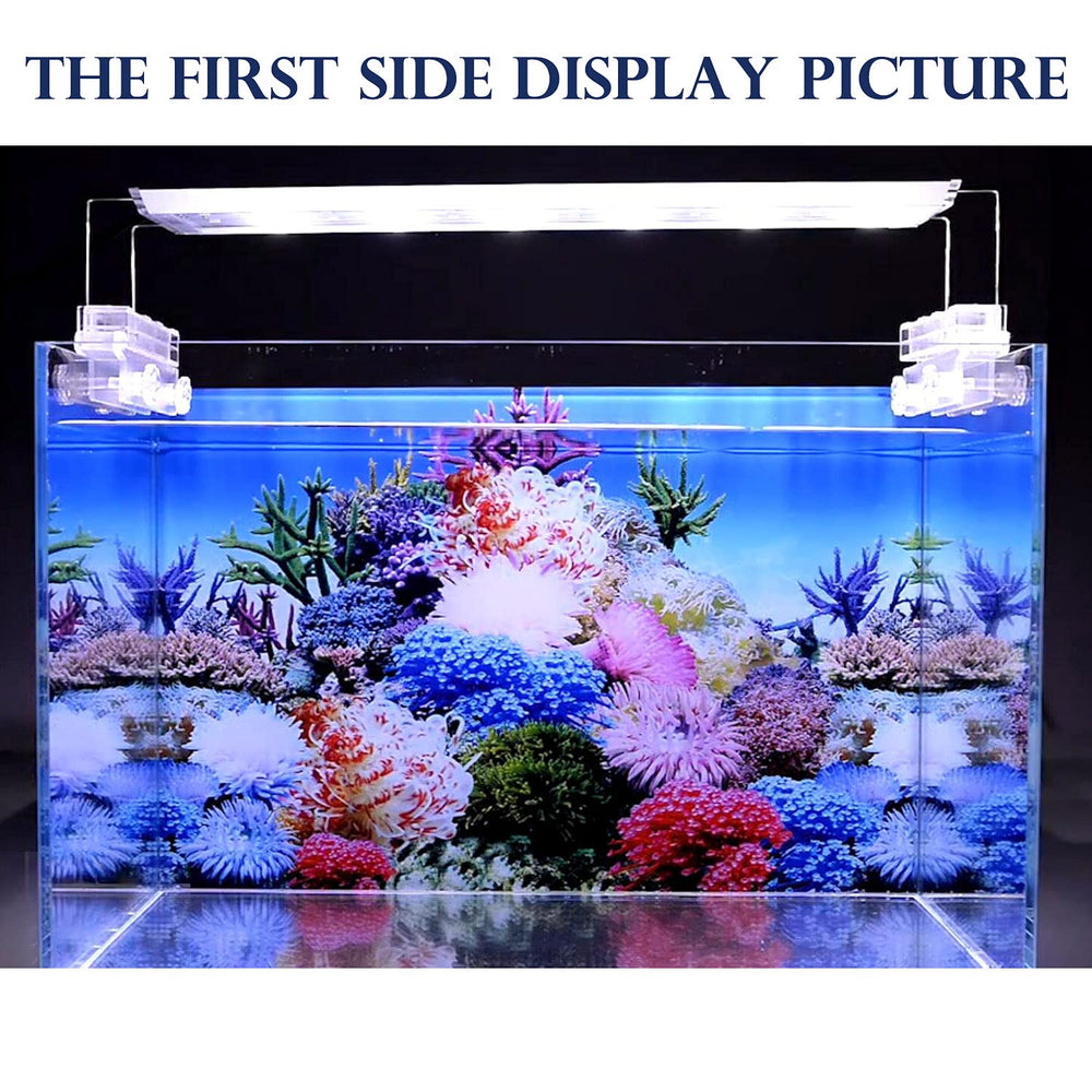 ELEBOX fondo acuario ambiente marino vibrante crea aspecto natural