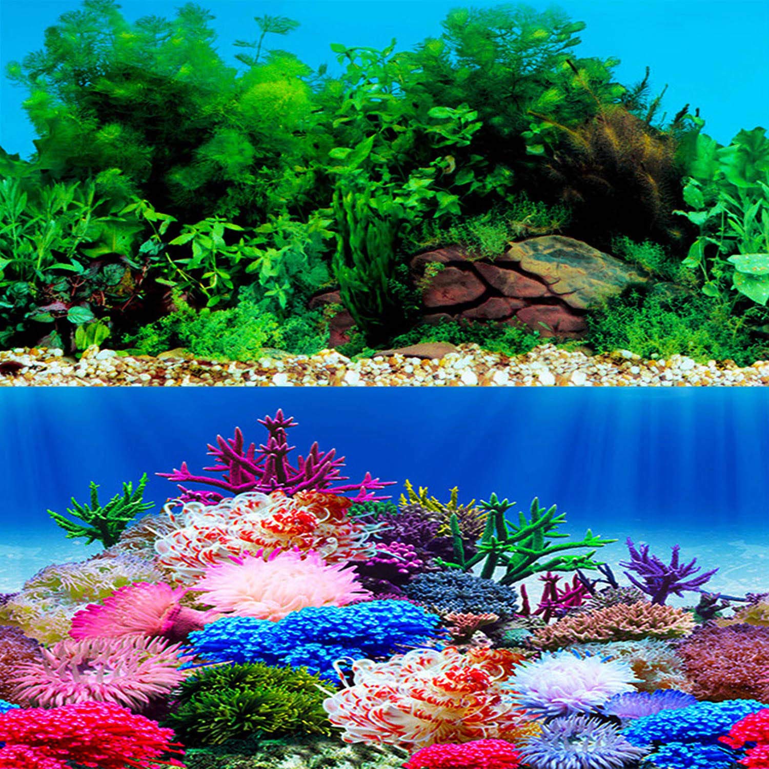 ELEBOX fondo acuario dos caras algas mejora la profundidad visual