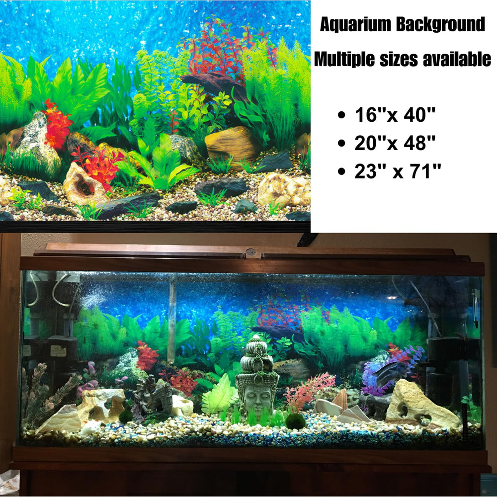 Haz brillar tu acuario con colores vivos y detalles realistas