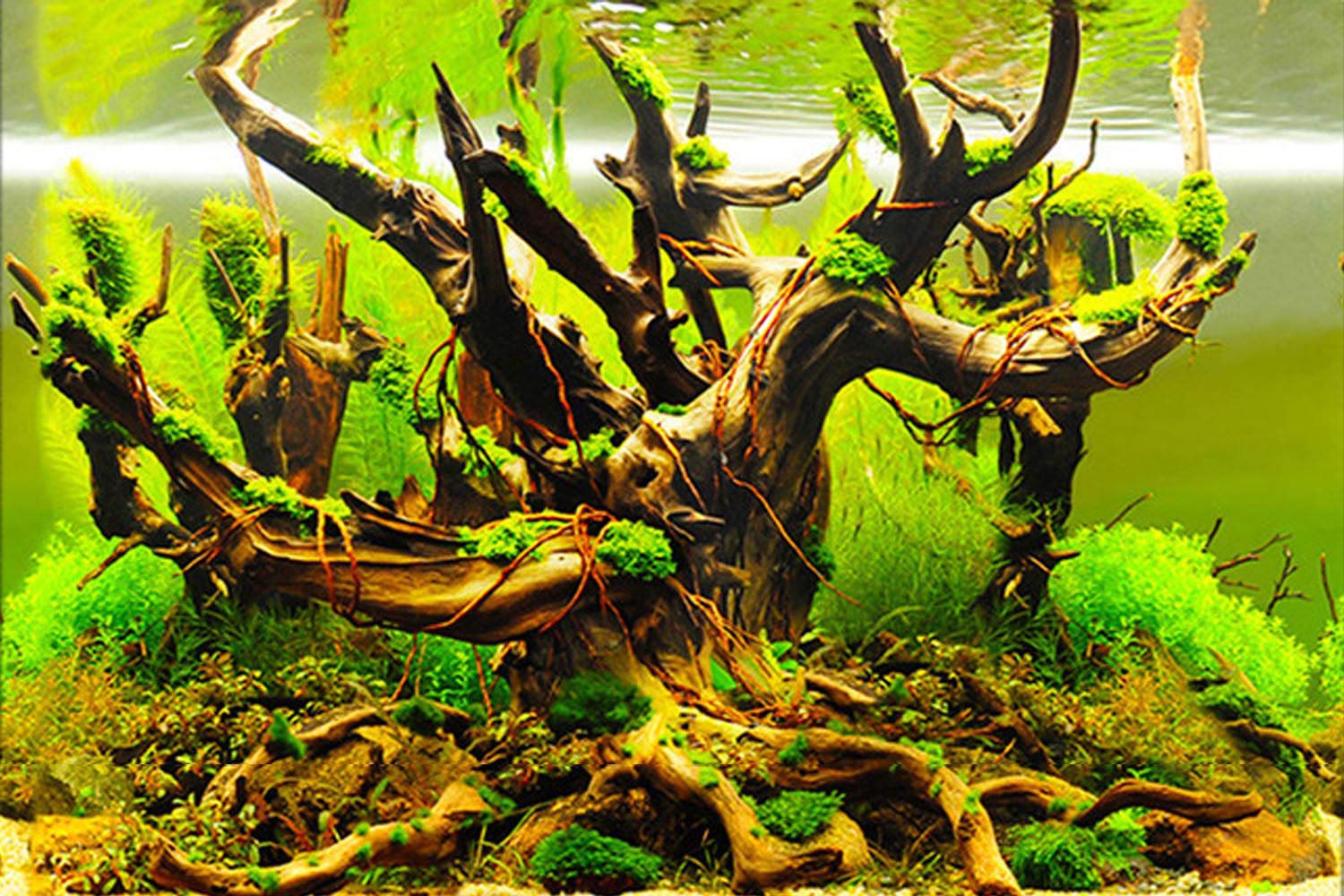 ELEBOX fondo acuario plantas marinas, mejora la estética y oculta cables.
