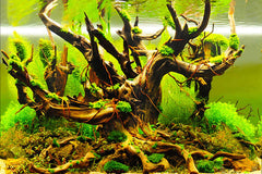 ELEBOX fondo acuario plantas marinas, mejora la estética y oculta cables.