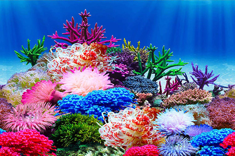 ELEBOX fondo de acuario poster doble cara para ocultar cables y realzar el paisaje submarino