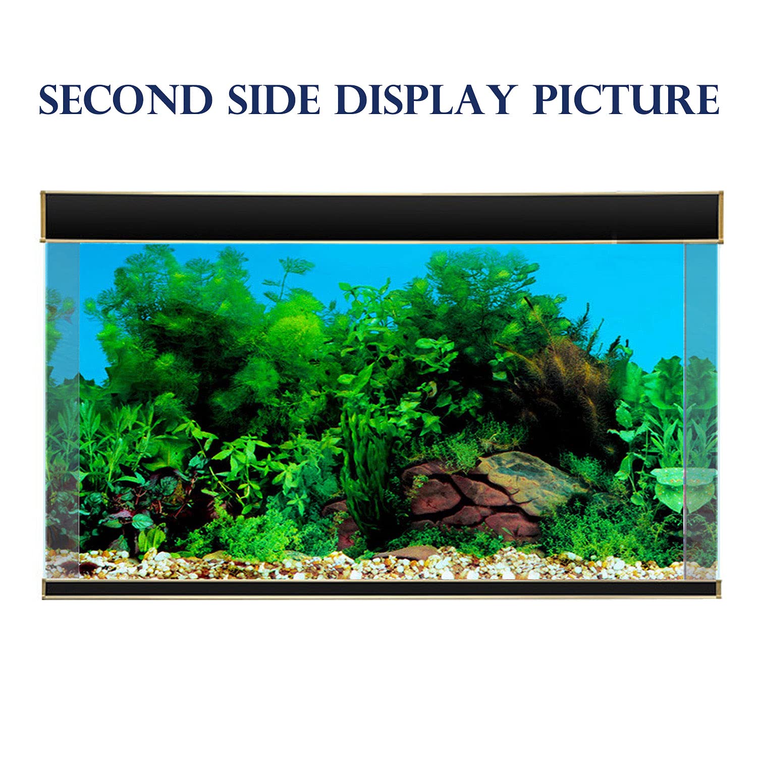 ELEBOX fondo acuario profundidad visual realista para acuarios grandes