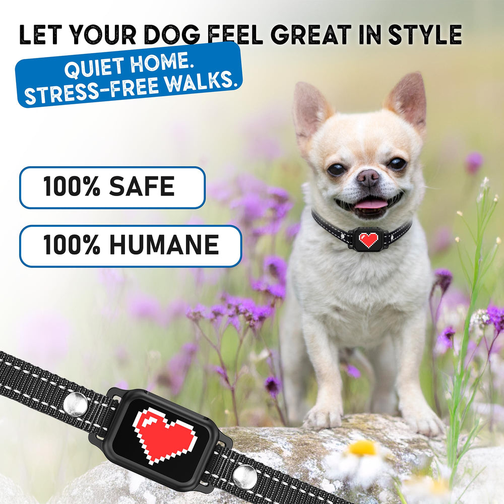 Collar ELECANE: entrenamiento-interior-exterior, guía práctica para casa y paseo.