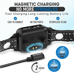 Collar ELECANE: resistencia-agua-ip67, entrenamiento seguro bajo lluvia.
