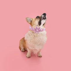 Accesorios a juego disponibles para completar el look Elegant little tail.