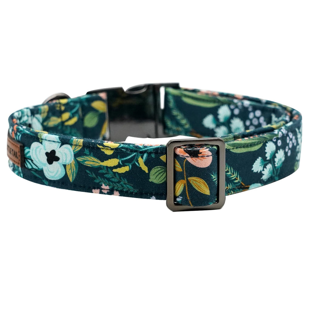 Elegant little tail adjustable small-dog collar demonstrates easy fit and comfort.